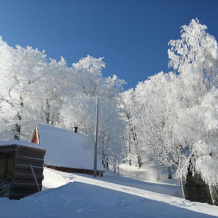 Mountain village Žabljak Exteriör bild