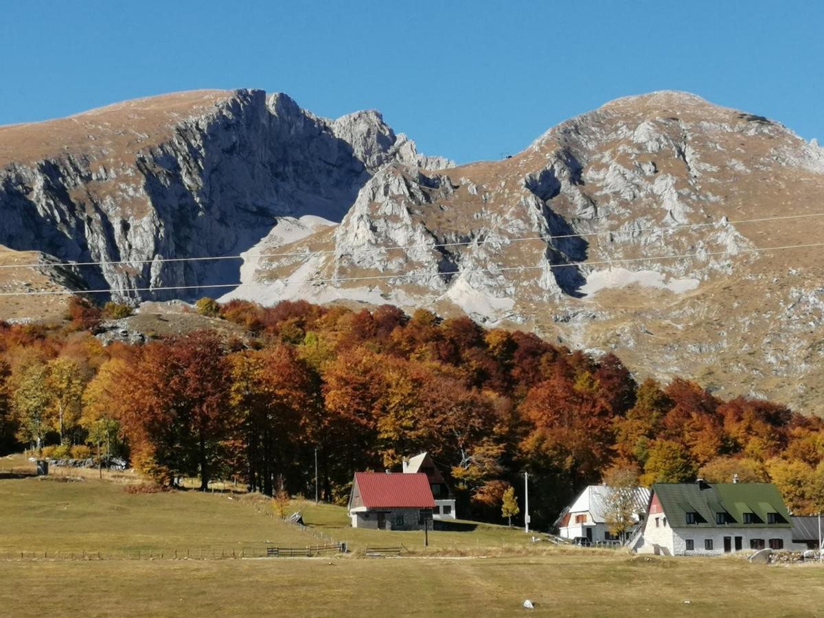 Mountain village Žabljak Exteriör bild