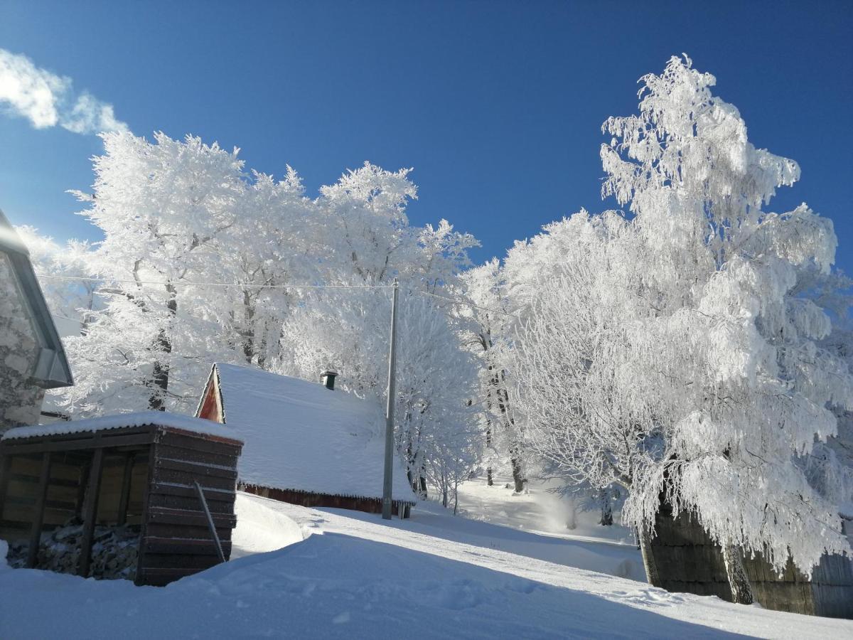 Mountain village Žabljak Exteriör bild